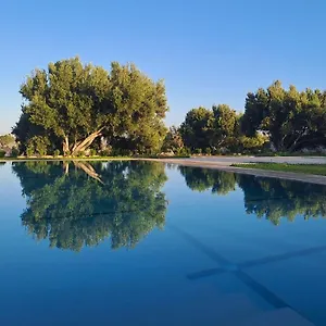  Séjour chez l'habitant Coriandre Maroc